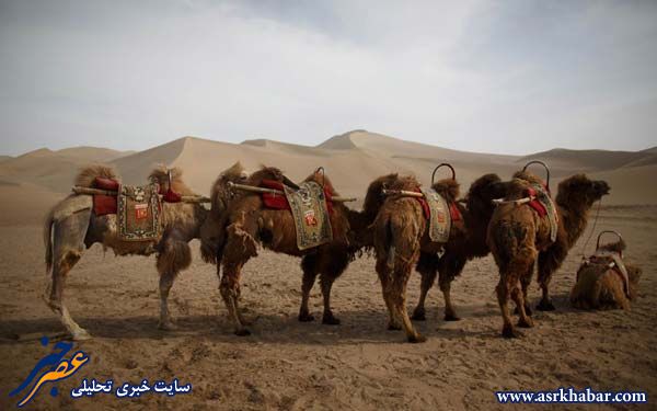 عجیب ترین شهر دنیا+تصاویر