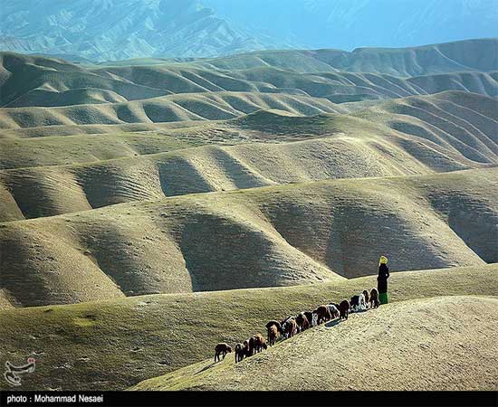 عكسي زيبا از صحرای ترکمن عكسي زيبا از صحرای ترکمن