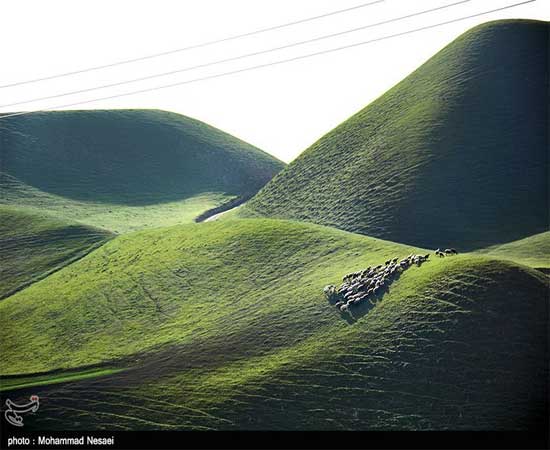 مناظري زيبا از صحرای ترکمن مناظري زيبا از صحرای ترکمن
