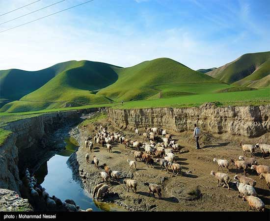 مناظري زيبا از صحرای ترکمن مناظري زيبا از صحرای ترکمن