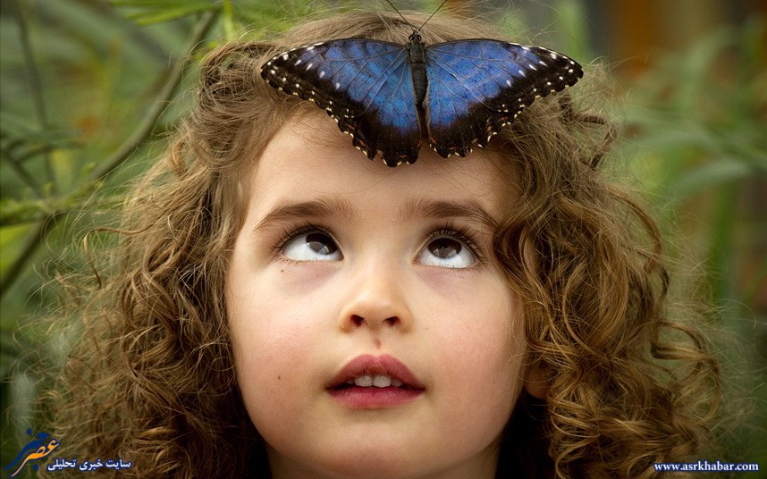 عکس: دختر و پروانه