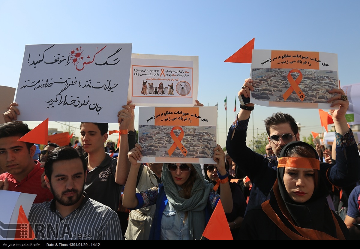 تجمع معترضان به سگ کشی در شیراز (عکس)