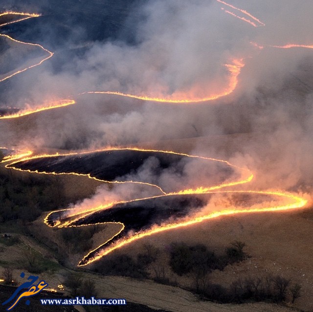 تصویر حیرت انگیز از آتش سوزی جنگل