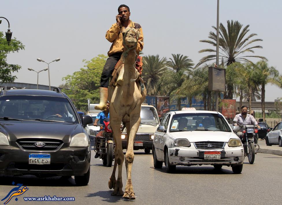 شتر سواری یک عرب وسط شهر (عکس)