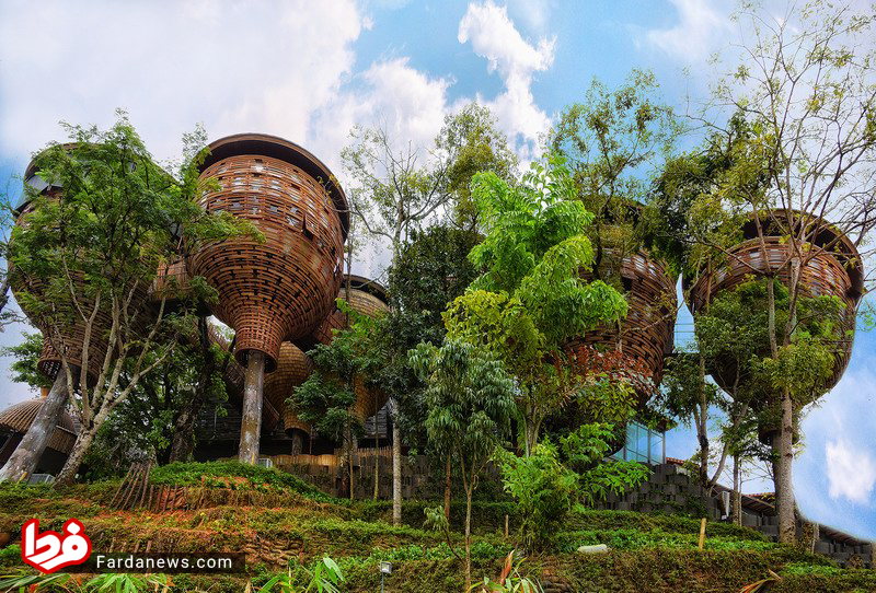 عکس: ویلاهای درختی عجیب در تایلند