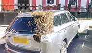 ۲۰ هزار زنبور در تعقیب یک خودرو +عکس