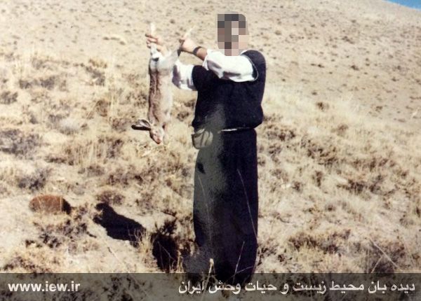 قاتل حیات وحش ایران دستگیر شد(عکس)
