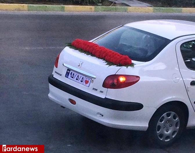 عکس: پلاک جالب خودروی عروس و داماد در بوشهر