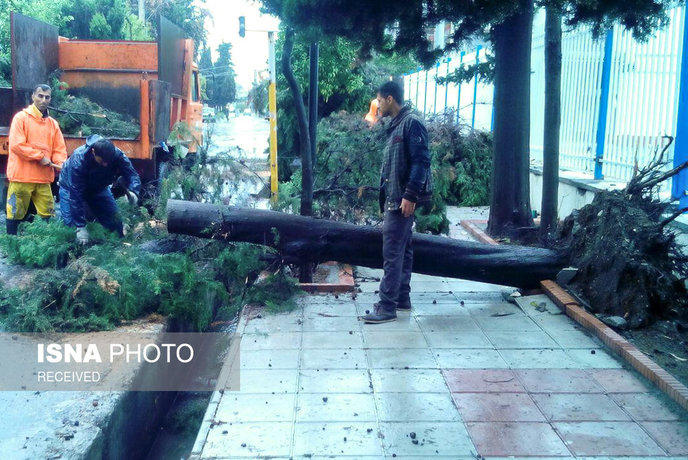 خسارت&zwnj;های توفان ۱۳۰ کیلومتری در مازندران