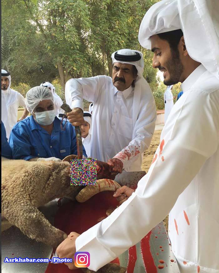 گوسفند قربانی کردن امیر قطر (عکس)