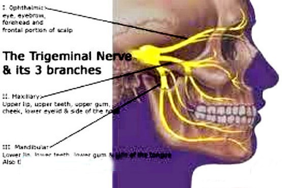 این زن «بیماری خودکشی» دارد! (عکس)