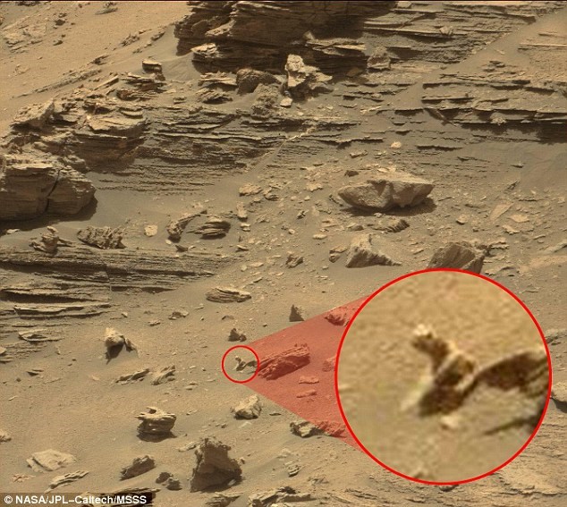 مارمولکی روی سیاره مریخ! (عکس)
