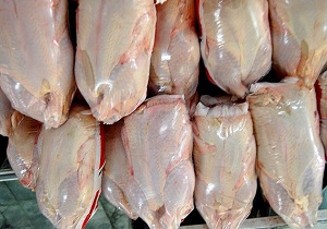 روند کاهشی قیمت مرغ ادامه دار شد