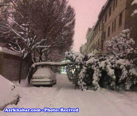 خوش‌ شانس‌ ترین شهروند کل ایران پس از بارش برف! (+عکس)
