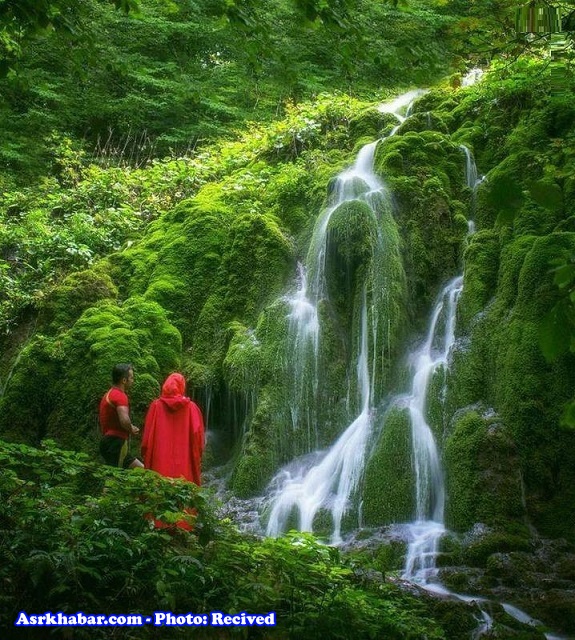آبشار تمام خزه‌ای بولا در ایران (عکس)