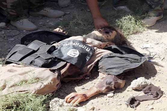 مسئول عوامل انتحاری داعش کشته شد (عکس)