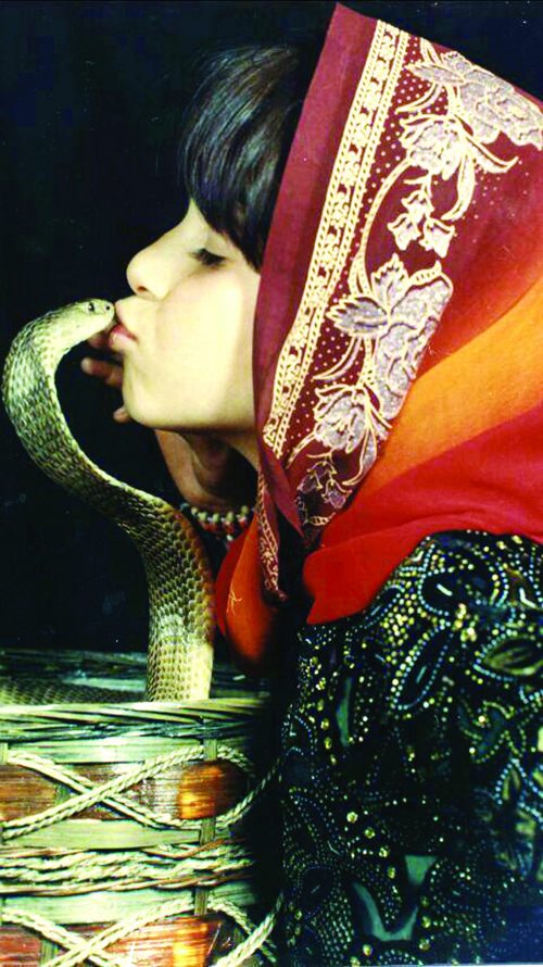 ملکه مار ایران: ۱۱ بار زبان مار افعی را بوسیدم! (عکس)