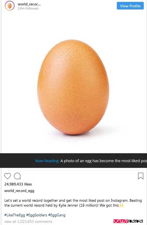تخم مرغی که ۲۵ میلیون لایک خورد! (عكس)