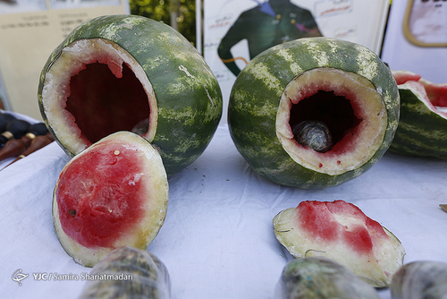 جاسازی تریاک در هندوانه (عکس)