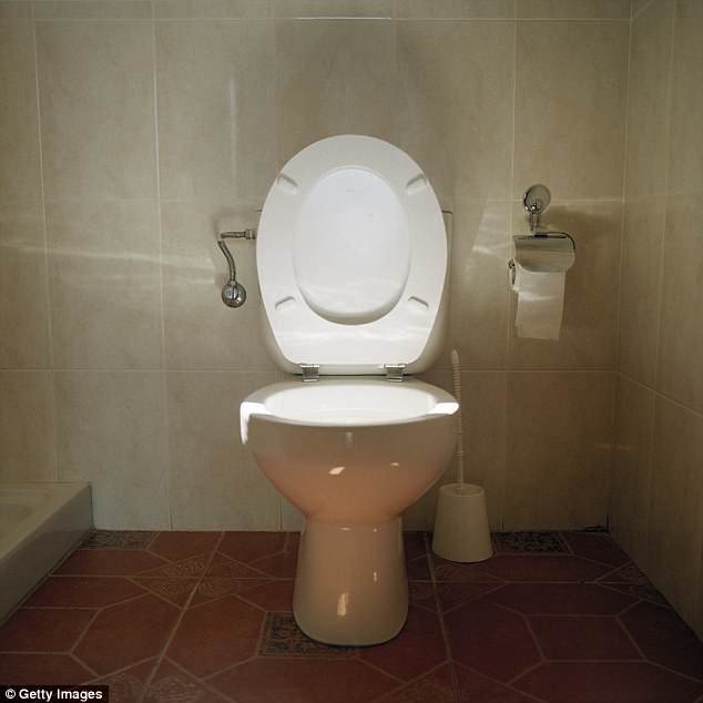 اون توالتش را هم به سنگاپور برده بود! (+عکس)