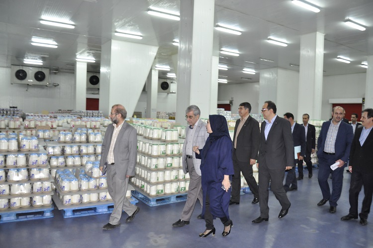 تامین مالی طرح‌های توسعه‌ای شرکت دامداران توسط بانک صادرات ایران