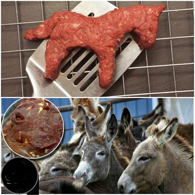 مردمی که طرفدار گوشت الاغ هستند! (+عکس)