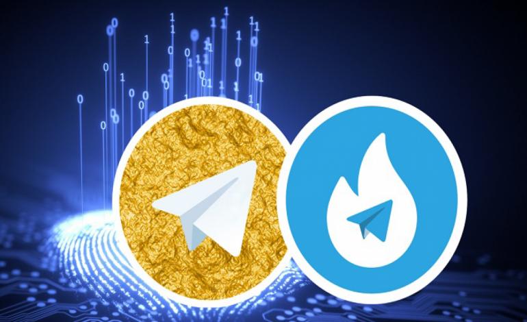 سبحانی فر: «هاتگرام» و «تلگرام طلایی» هرگز فیلتر نخواهند شد