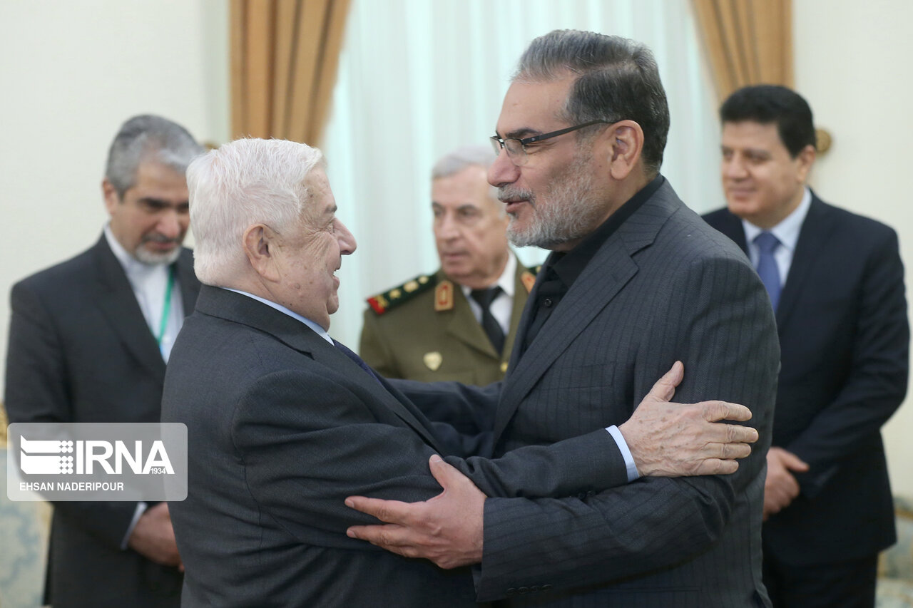 دیدار نخست وزیر سوریه با علی شمخانی(+عکس)