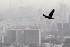 آلودگی هوا تهدیدی برای سلامت مردان است