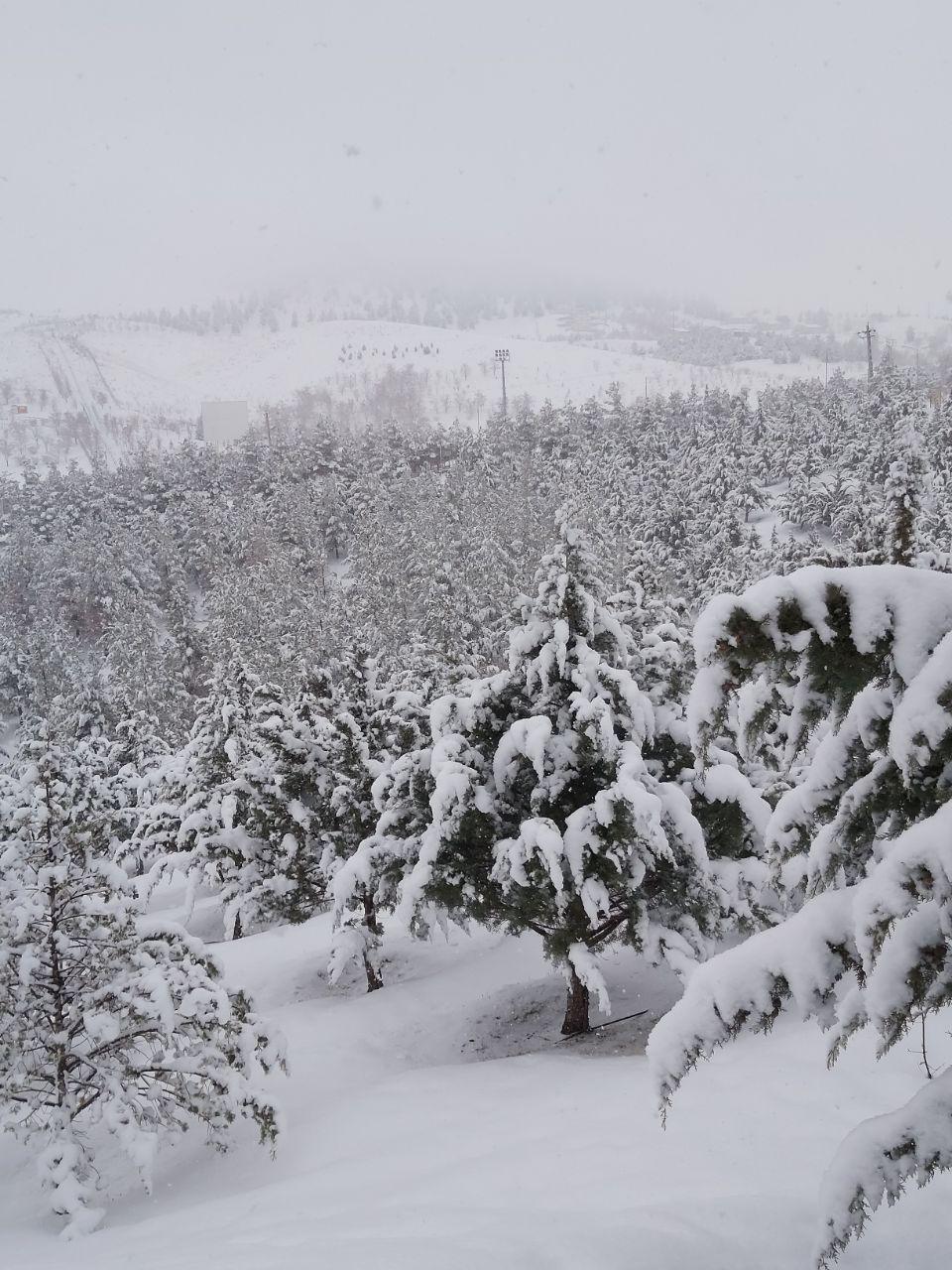 عکسی جالب از یک روز برفی در بوستان ملی باراجین قزوین