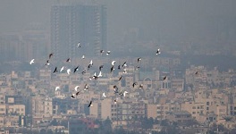 کاهش آلودگی هوا در تهران/ احتمال سالم شدن هوا تا فردا