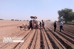 مردم سیستان دار و ندارشان را رها کرده و کوچ می‌کنند/ عدم تأمین آب زراعی محصولات کشاورزان هیرمند را می‌سوزاند