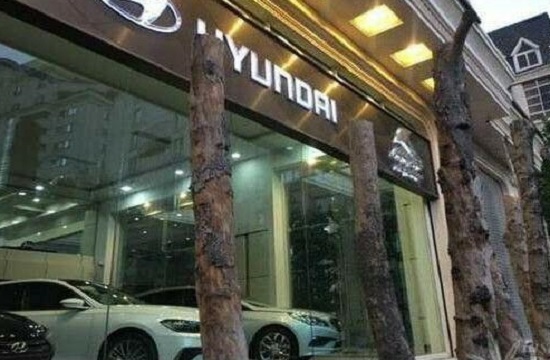 قطع درختان برای نمایان شدن خودروهای لاکچری در خیابان شریعتی (+عکس) قطع درختان برای نمایان شدن خودروهای لاکچری در خیابان شریعتی (+عکس)