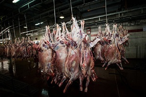 قیمت گوشت قرمز در بازار؛ 50 تا 120 هزار تومان
