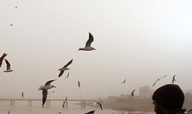گرد و خاک در راه خوزستان