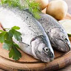 مزایای ماهی که از آن بی خبر هستید!