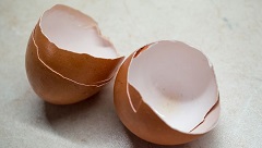 مزایا و معایب خوردن پوست تخم مرغ
