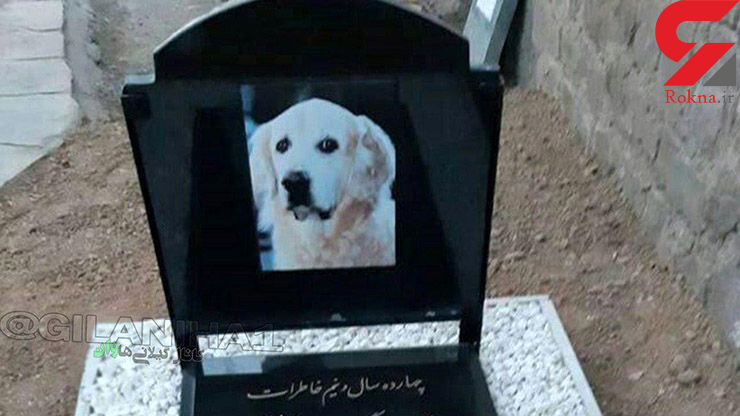 مراسم لاکچری برای خاکسپاری یک سگ در رشت! (عكس)