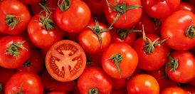 فایده های شگفت انگیز گوجه فرنگی که نمی دانستید