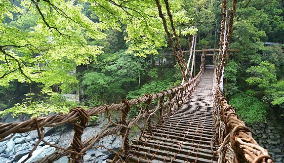 پل زیبا و رویایی ای‌یا ولی واین در ژاپن (+عکس)