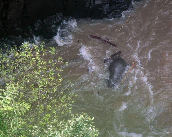 مرگ شش فیل بر اثر سقوط از یک آبشار (+عکس)