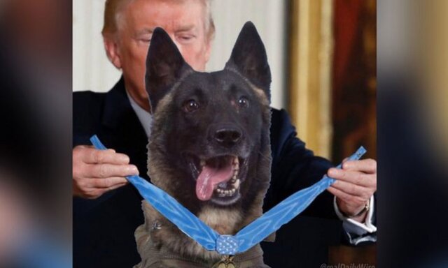 ترامپ خودش را با سگ عملیات قتل بغدادی مقایسه کرد
