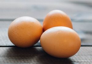 2 دلیل افزایش قیمت تخم‌مرغ