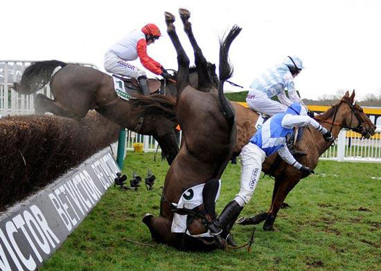 صحنه ای عجیب در یک مسابقه اسب دوانی (+عکس)