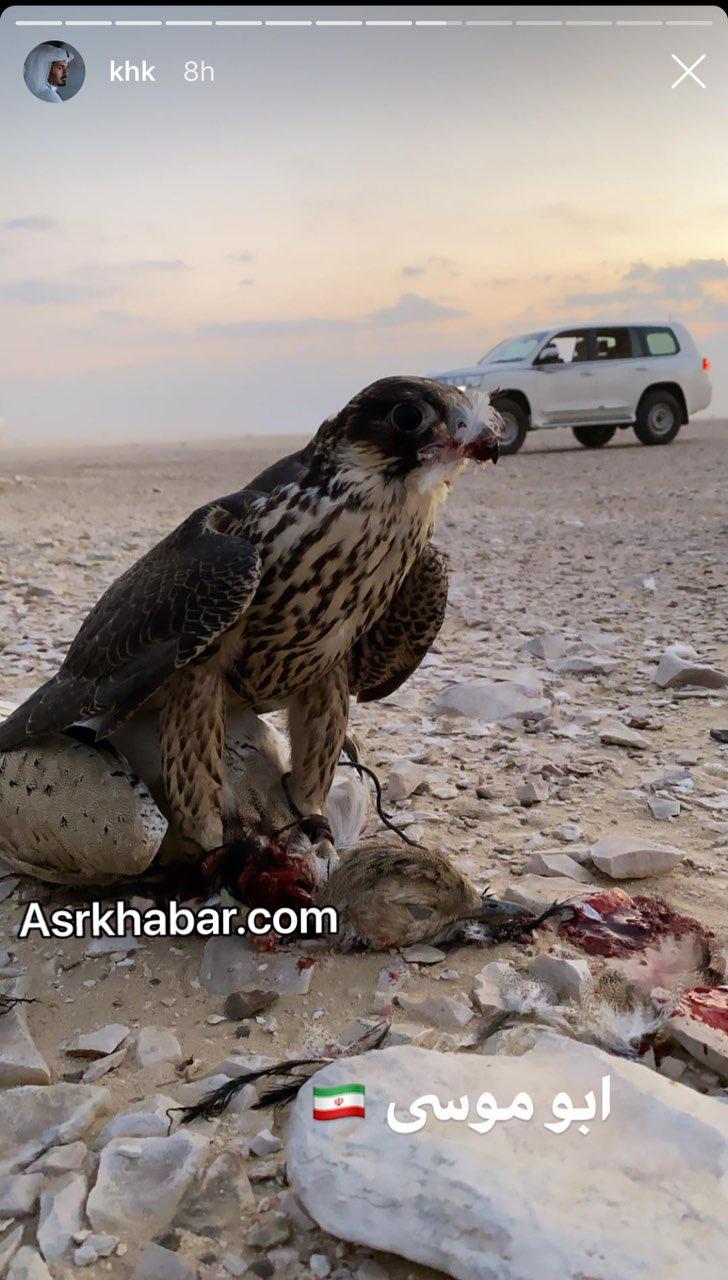 حضور برادر امیر قطر در ایران و شکار پرنده در جزیره ابوموسی (+عکس)