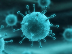 6 راه انتقال وبا