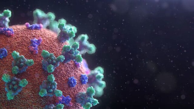 کشف آنتی‌بادی که سد راه کروناویروس می‌شود