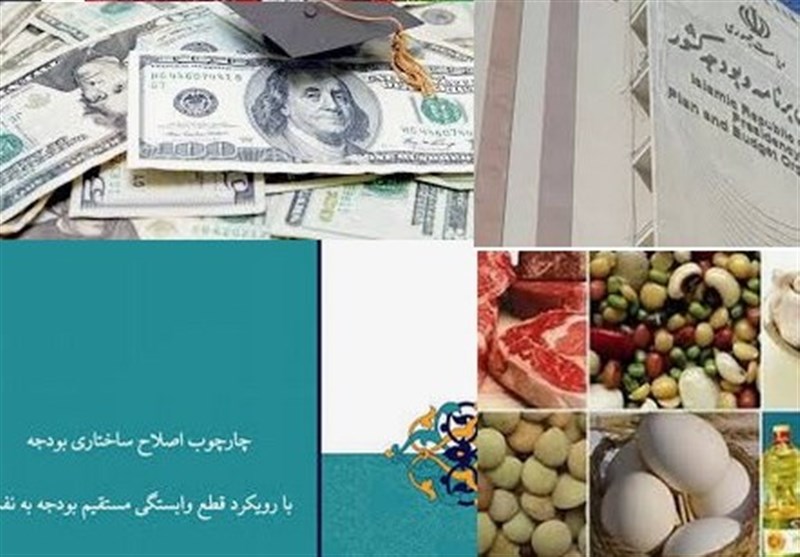 تسهیل تأمین ارز برای واردات کالاهای اساسی/ ترخیص و توزیع نهاده دامی بدون مجوز وزارت جهاد ممنوع شد