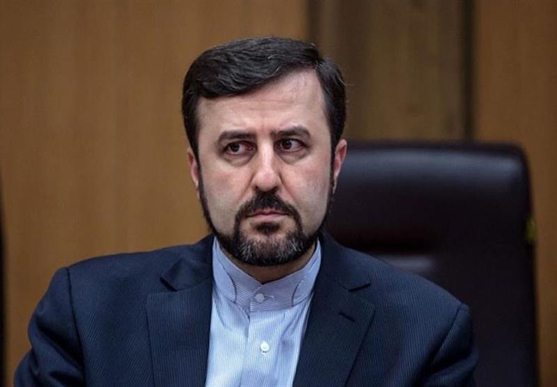 غریب‌آبادی: همکاری‌ ایران با آژانس صرفاً به انتخاب خود ایران صورت گرفته است