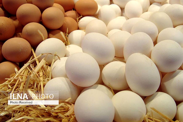 تخم مرغ با پوست قهوه‌ای سالمتر و خوشمزه تراست یا پوست سفید؟